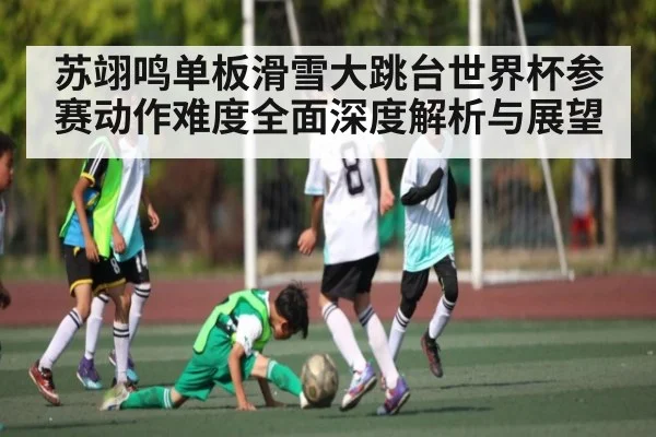 苏翊鸣单板滑雪大跳台世界杯参赛动作难度全面深度解析与展望
